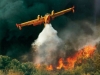 Καίγονται Τα Σύνορα Λάρισας - Βόλου! Μεγάλη Φωτιά Από Την Περιοχή Του Βελεστίνου Μέχρι Το Ν. Περιβόλι