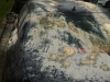 Eπίθεση Mε Aυγά Kαι … Kαφέδες Σε Αυτοκίνητο Πρώην Δημάρχου Στα Τρίκαλα!