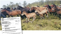 (Παρ)άλογο Σκάνδαλο Με Επιδοτήσεις Σε Αγρότες Του Δήμου Κιλελέρ