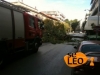 Σφοδρή Καταιγίδα Στη Θεσσαλονίκη - Έπεσαν Δέντρα (ΦΩΤΟ)